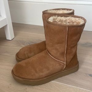 Ugg Classic Chestnut Short Boots Size 10